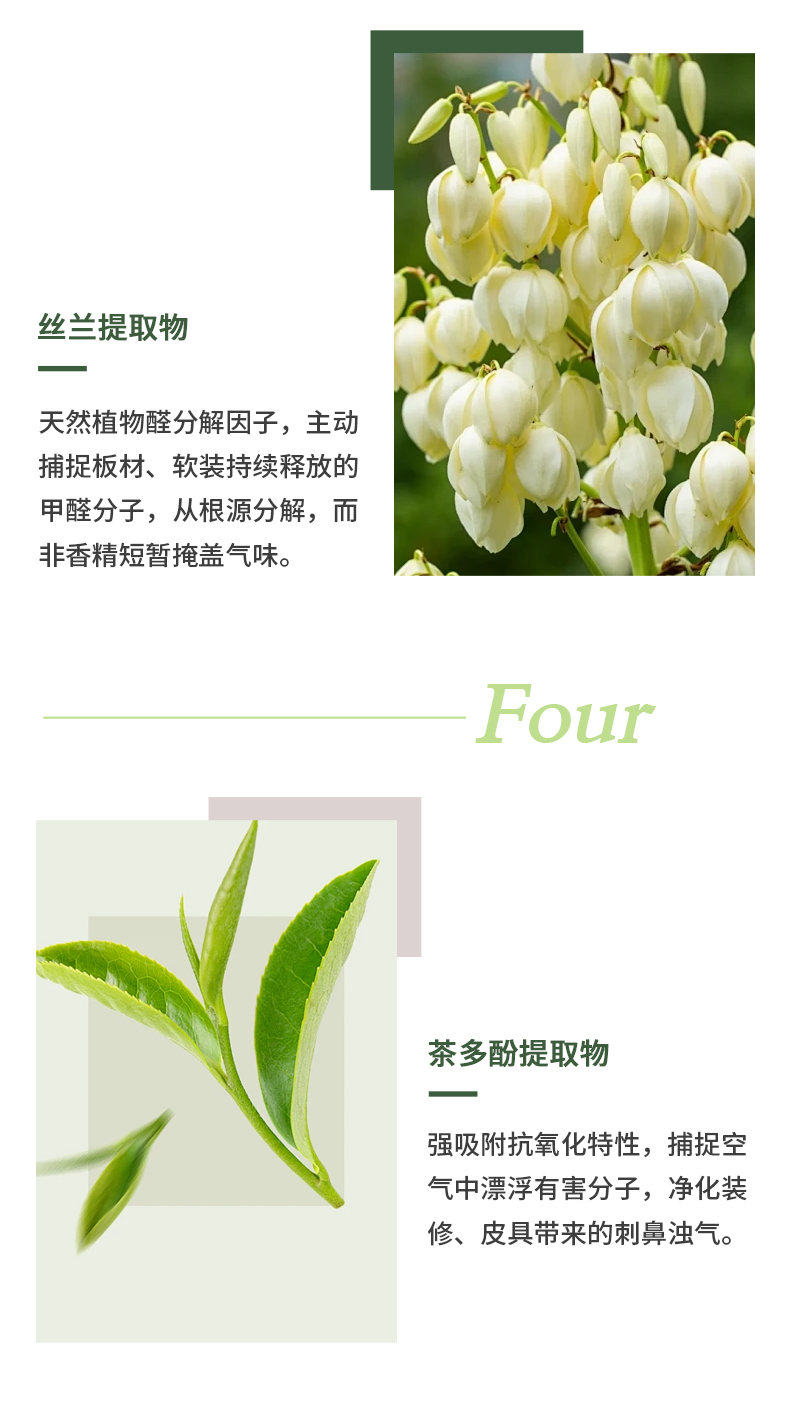 植物除甲醛喷雾剂