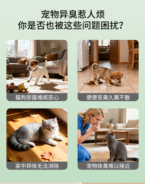 宠物psd_02.jpg